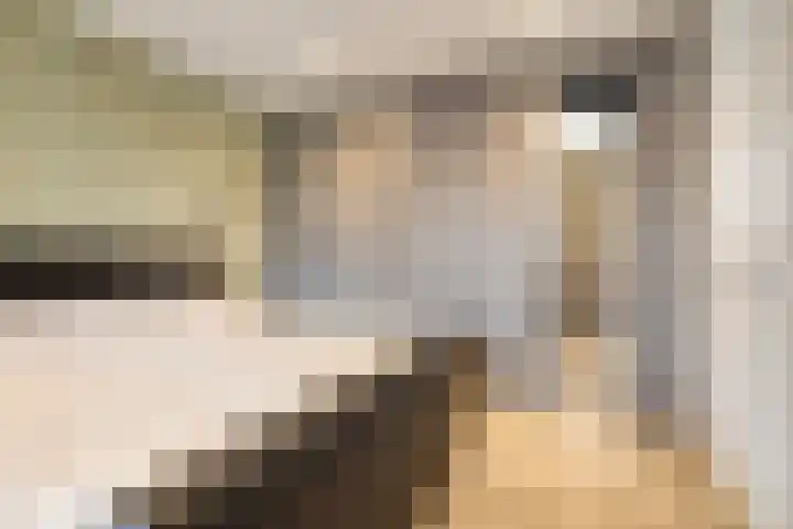 Louis Pasteurstraat 20 Waspik thumbnail 25