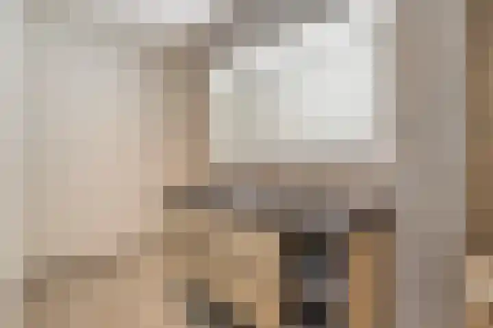 Louis Pasteurstraat 20 Waspik thumbnail 26