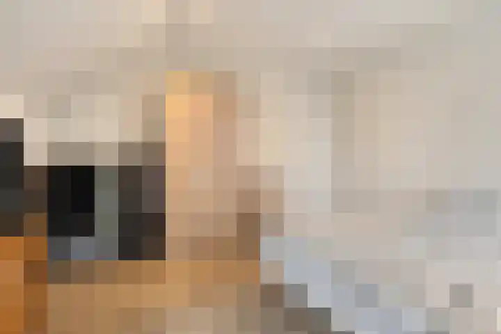 Louis Pasteurstraat 20 Waspik thumbnail 29