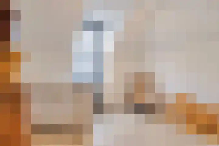 Louis Pasteurstraat 20 Waspik thumbnail 34