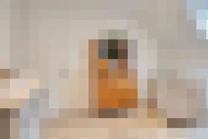 Louis Pasteurstraat 20 Waspik thumbnail 35