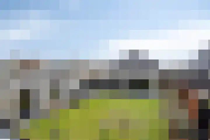 Louis Pasteurstraat 20 Waspik thumbnail 4
