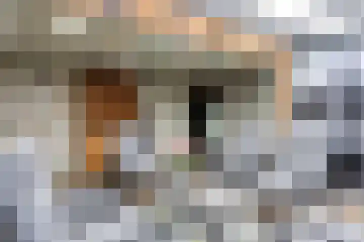 Louis Pasteurstraat 20 Waspik thumbnail 44