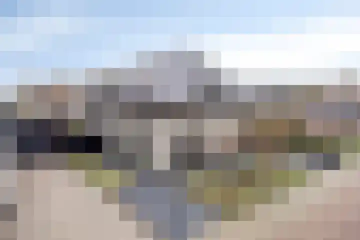 Louis Pasteurstraat 20 Waspik thumbnail 5