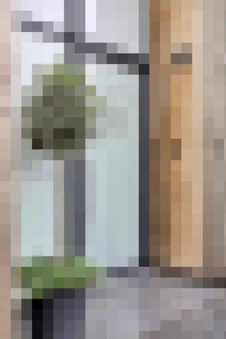 Louis Pasteurstraat 20 Waspik thumbnail 8