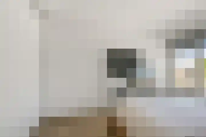 Louis Pasteurstraat 3 Krommenie thumbnail 13