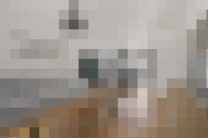 Louis Pasteurstraat 3 Krommenie thumbnail 5