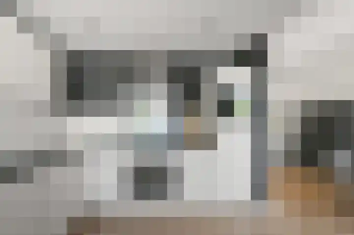 Louis Pasteurstraat 3 Krommenie thumbnail 9