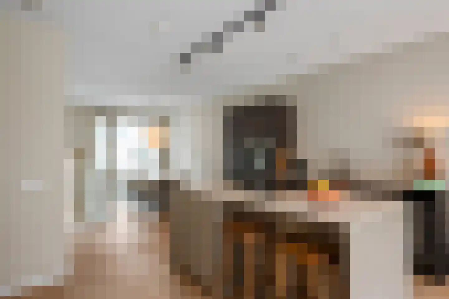 Louis Pasteurstraat 505 Haarlem thumbnail 9