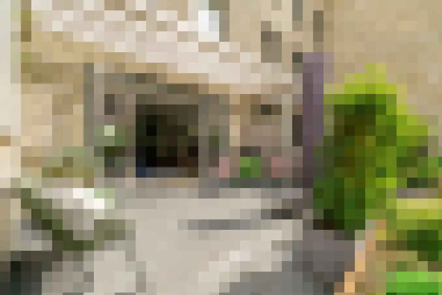 Louis Pasteurstraat 509 Haarlem thumbnail 19