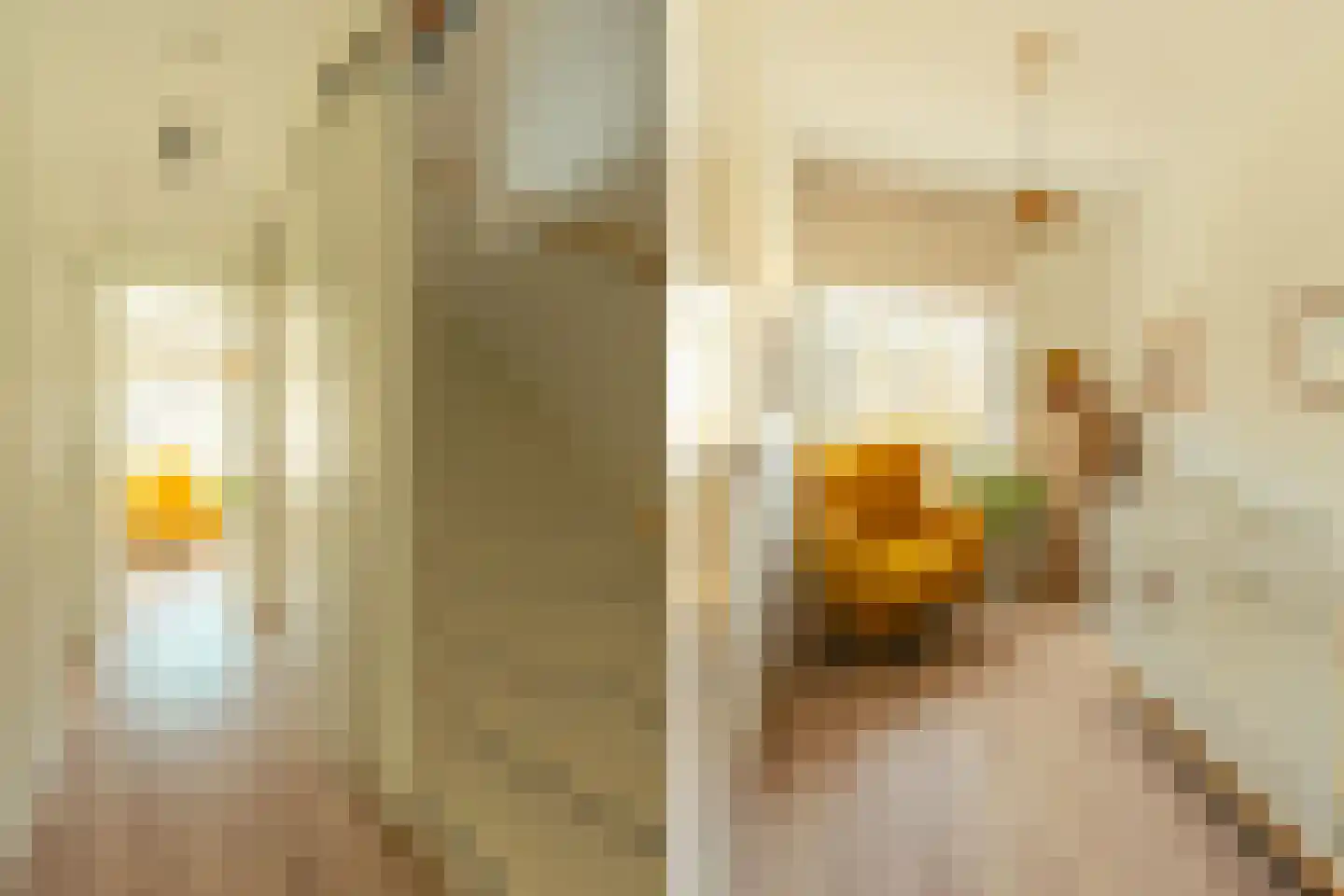 Louis Pasteurstraat 509 Haarlem thumbnail 22
