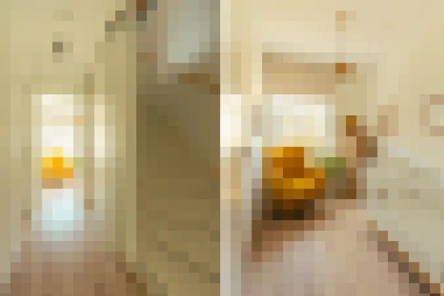 Louis Pasteurstraat 509 Haarlem thumbnail 22