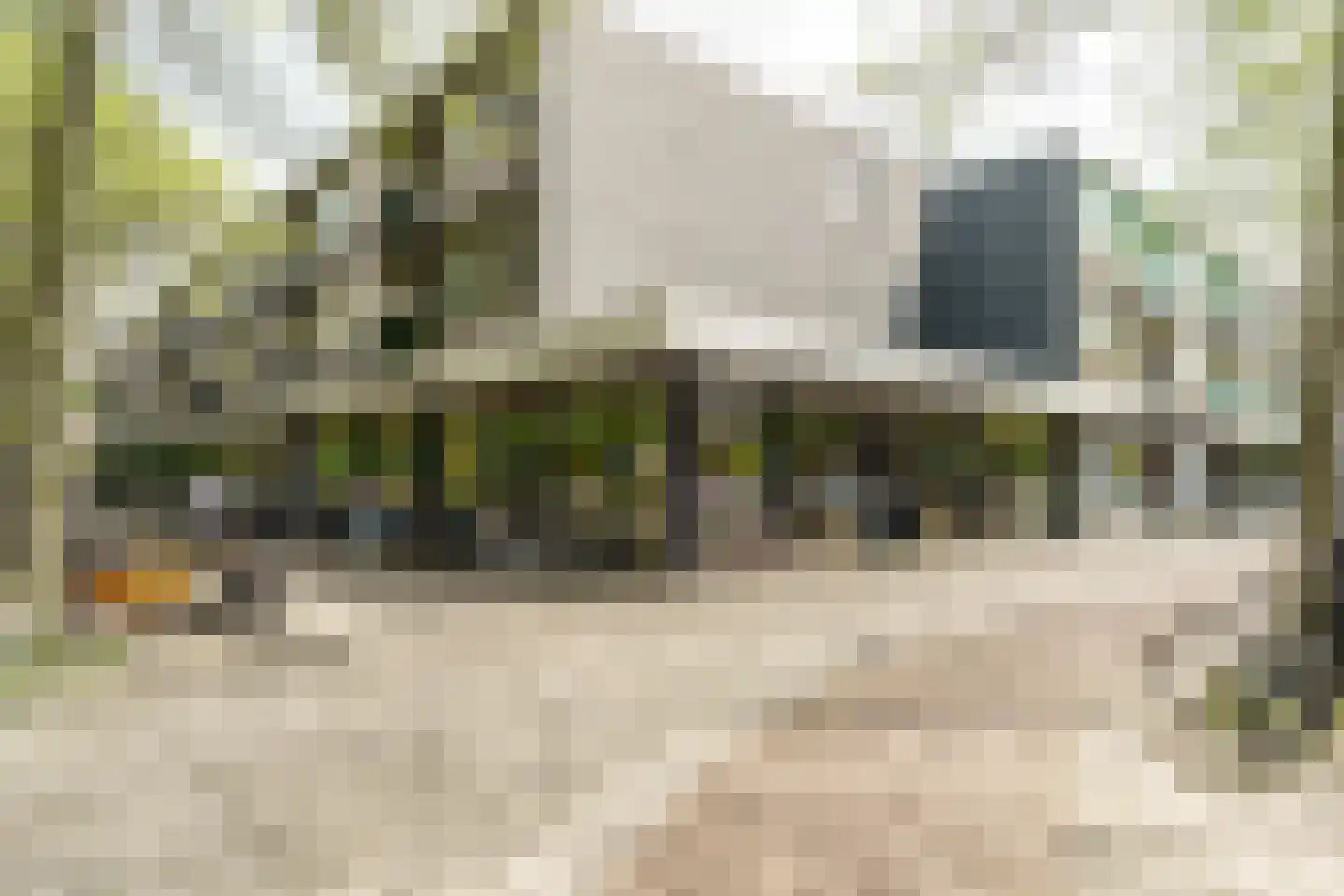 Louis Pasteurstraat 509 Haarlem thumbnail 40