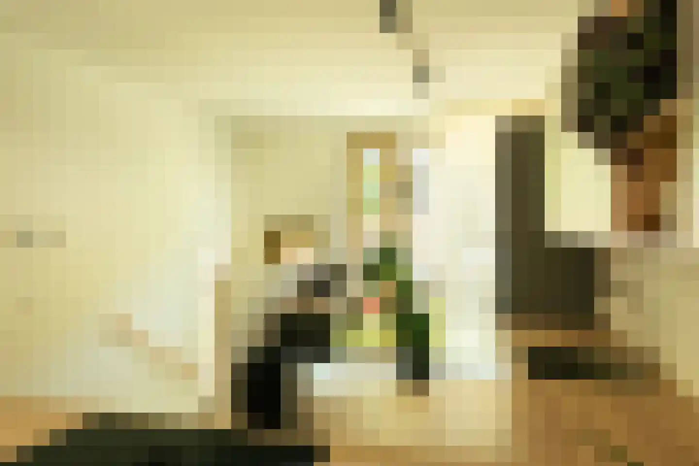 Louis Pasteurstraat 509 Haarlem thumbnail 7