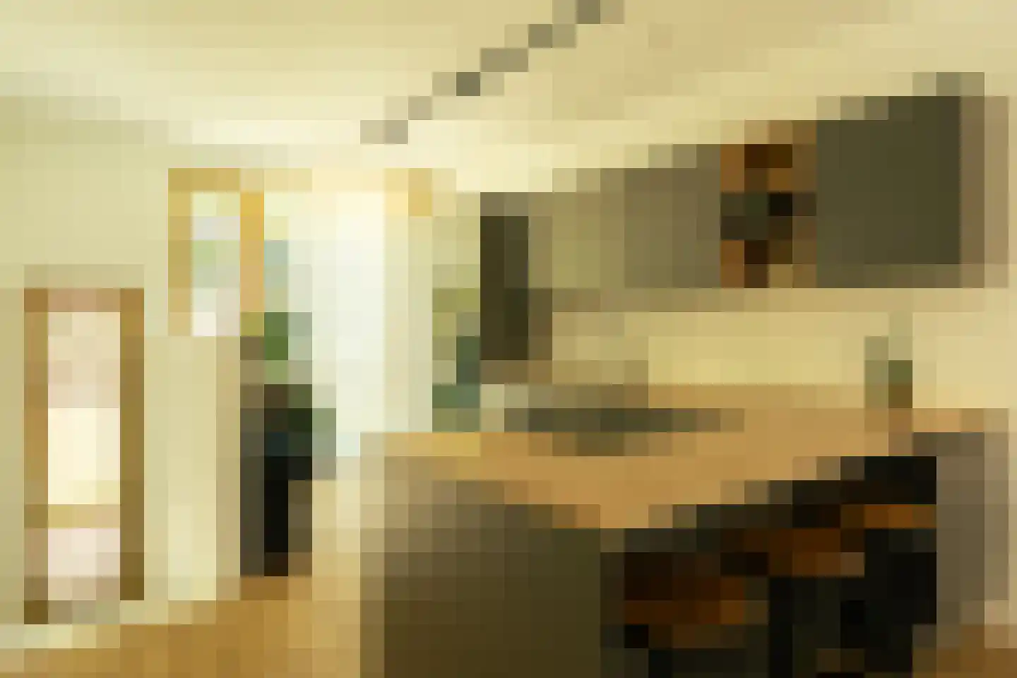 Louis Pasteurstraat 509 Haarlem thumbnail 9