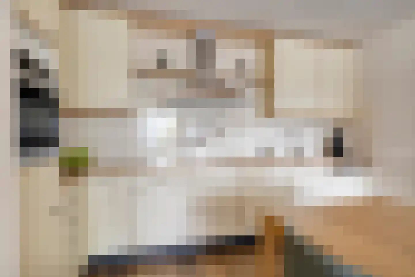 Louis Paul Boonhof 23 Waalwijk thumbnail 16