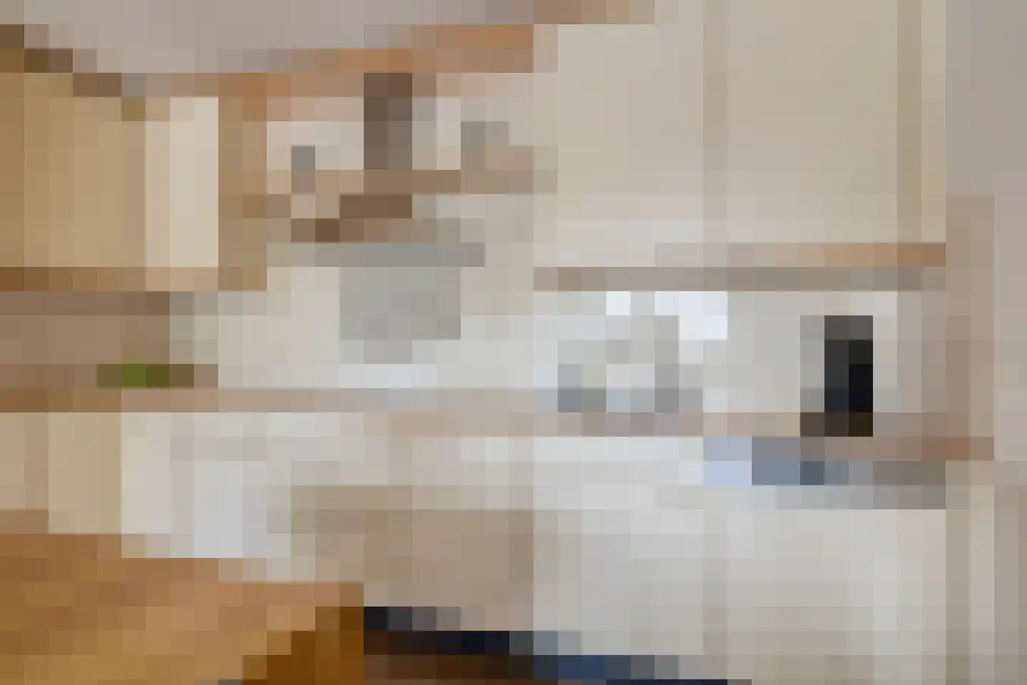 Louis Paul Boonhof 23 Waalwijk thumbnail 17