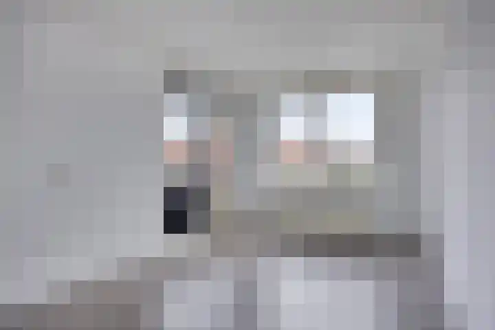 Louis Paul Boonhof 29 Waalwijk thumbnail 10