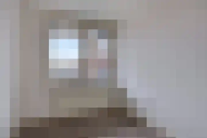 Louis Paul Boonhof 29 Waalwijk thumbnail 13
