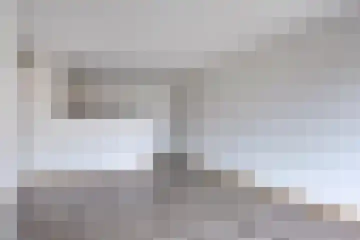Louis Paul Boonhof 29 Waalwijk thumbnail 7