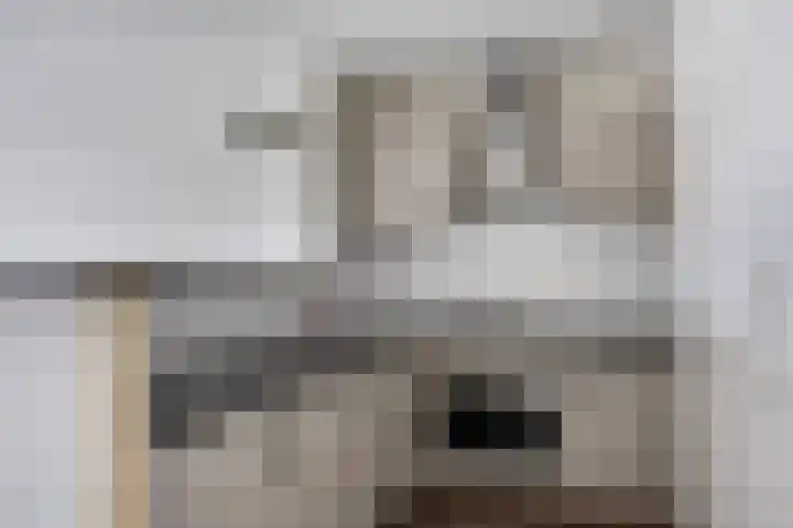 Louis Paul Boonhof 29 Waalwijk thumbnail 8