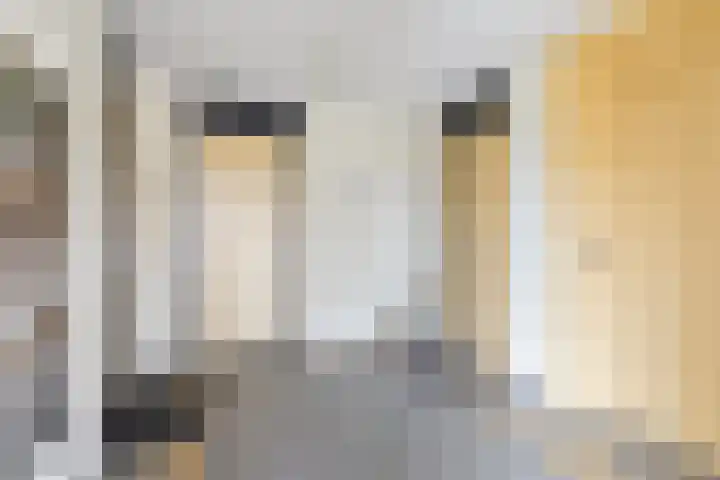Louis Paul Boonhof 49 Waalwijk thumbnail 4