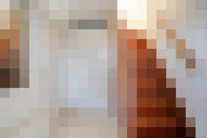 Louis Paul Boonlaan 14 Roosendaal thumbnail 4