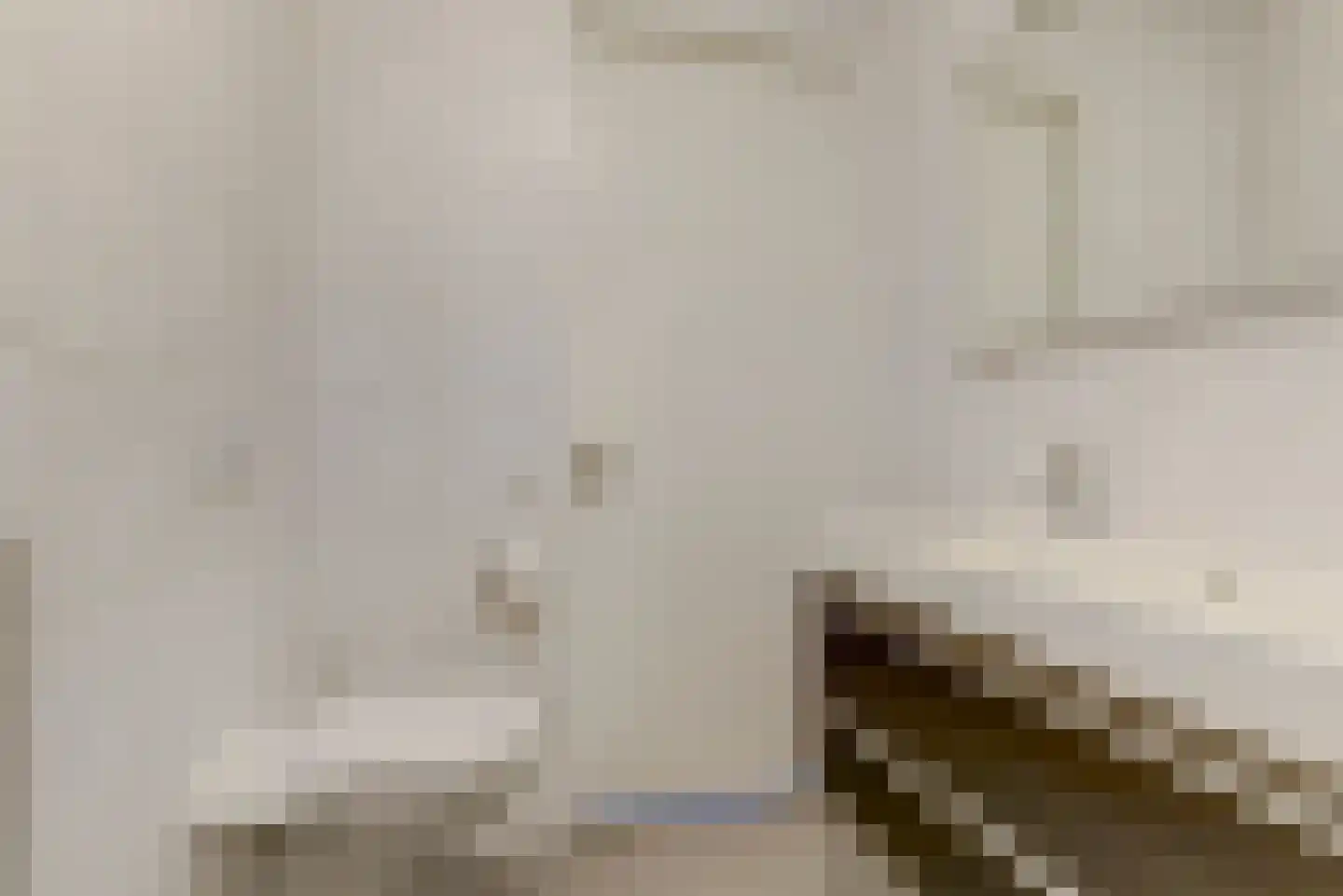Louis Paul Boonstraat 5 Nijmegen thumbnail 22
