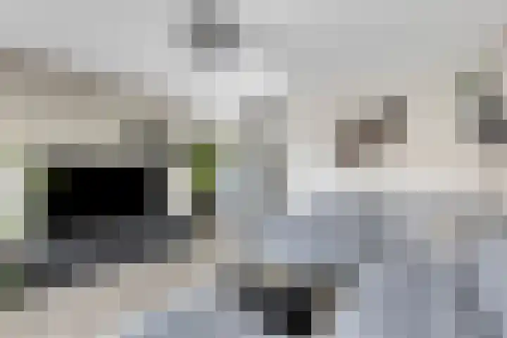 Louis Paul Boonstraat 51 Almere thumbnail 8