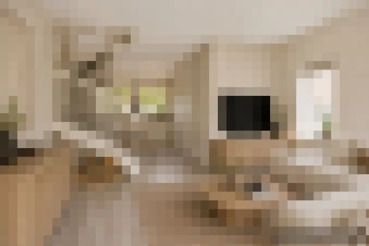Louis Paul Boonstraat 73 Berkel en Rodenrijs thumbnail 11