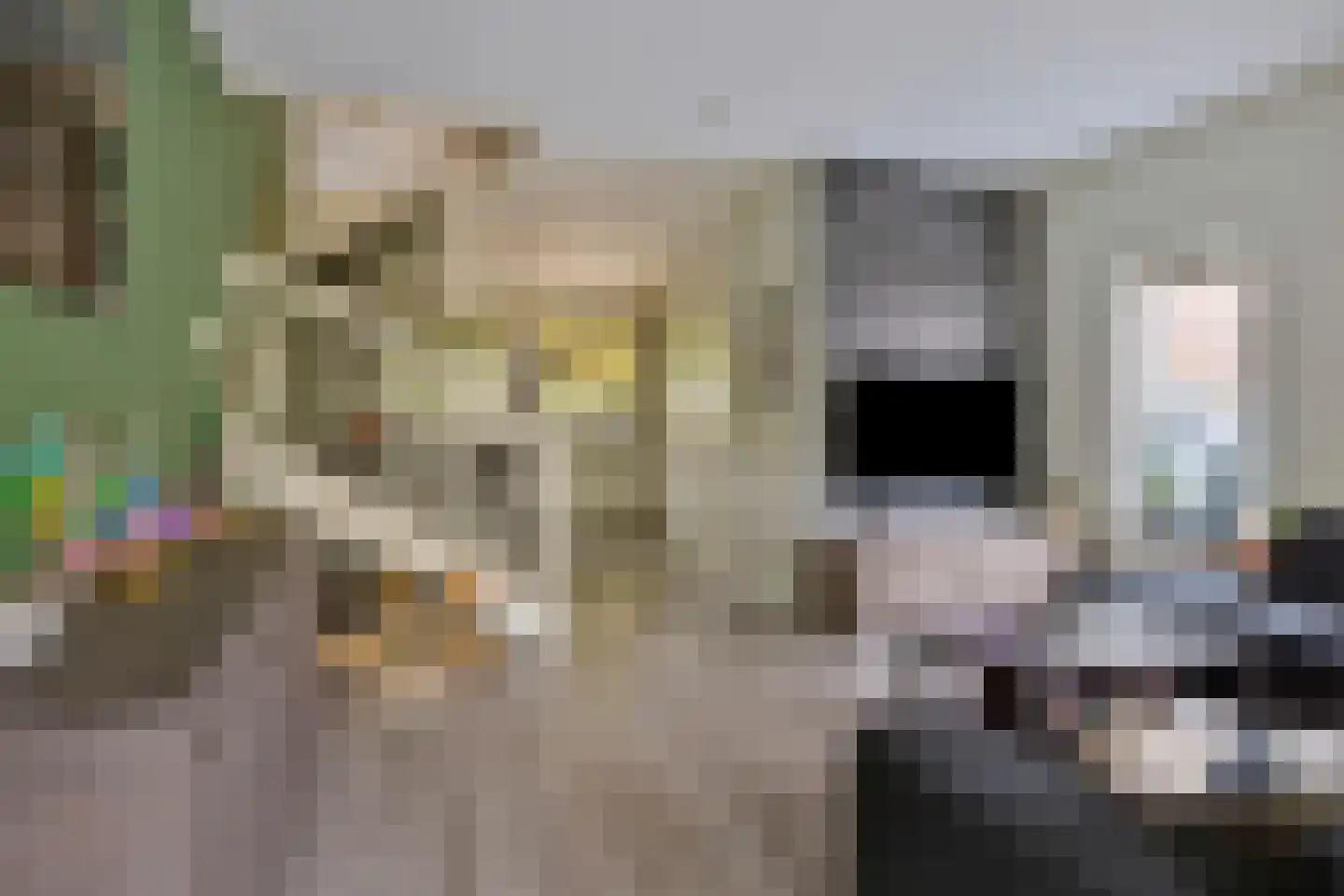Louis Paul Boonstraat 73 Berkel en Rodenrijs thumbnail 6