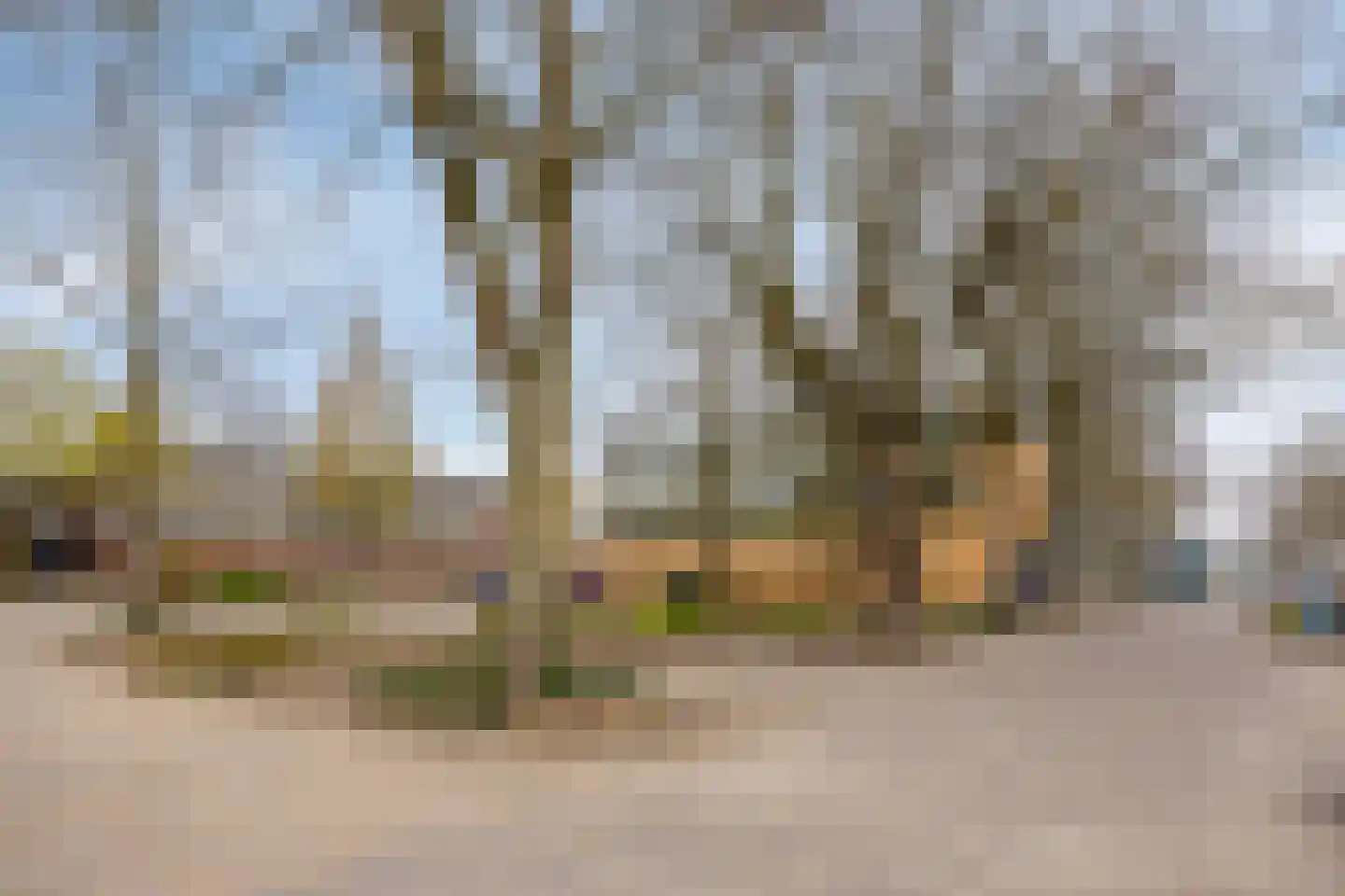 Louis Porquinlaan 47 Bergen op Zoom thumbnail 32