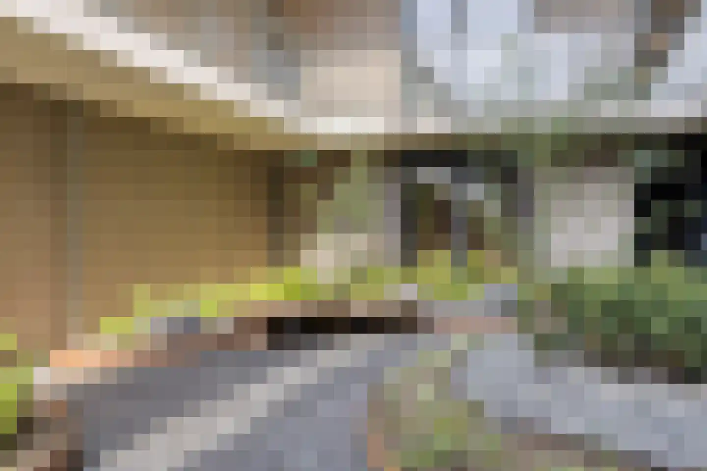 Louis Porquinlaan 73 Bergen op Zoom thumbnail 30
