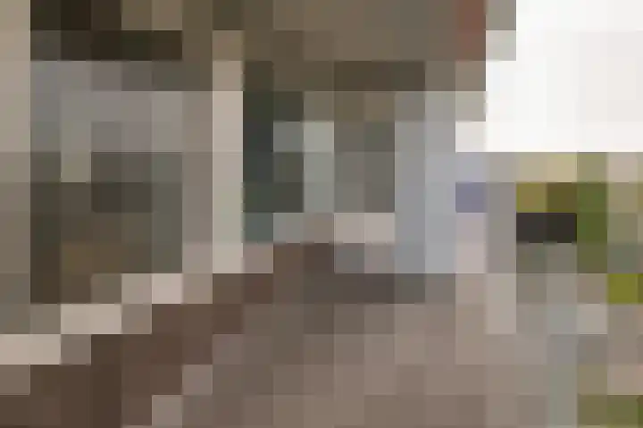 Louis Raemaekersstraat 125 Schiedam thumbnail 13
