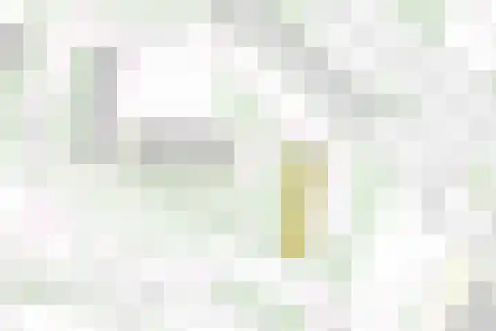 Louis Raemaekersstraat 125 Schiedam thumbnail 43
