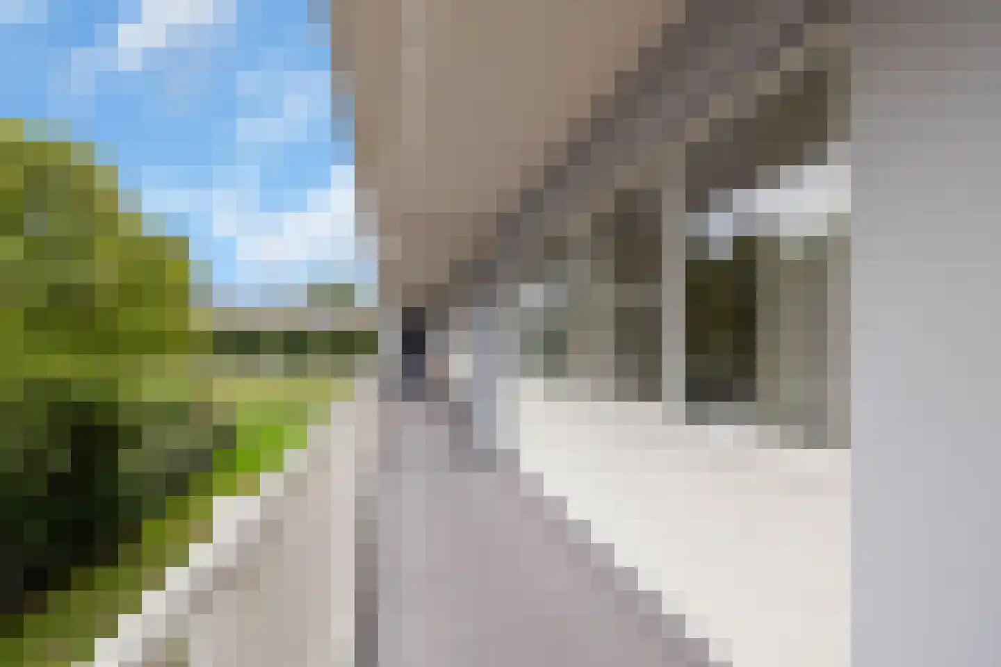 Louis Raemaekersstraat 161 Schiedam thumbnail 10
