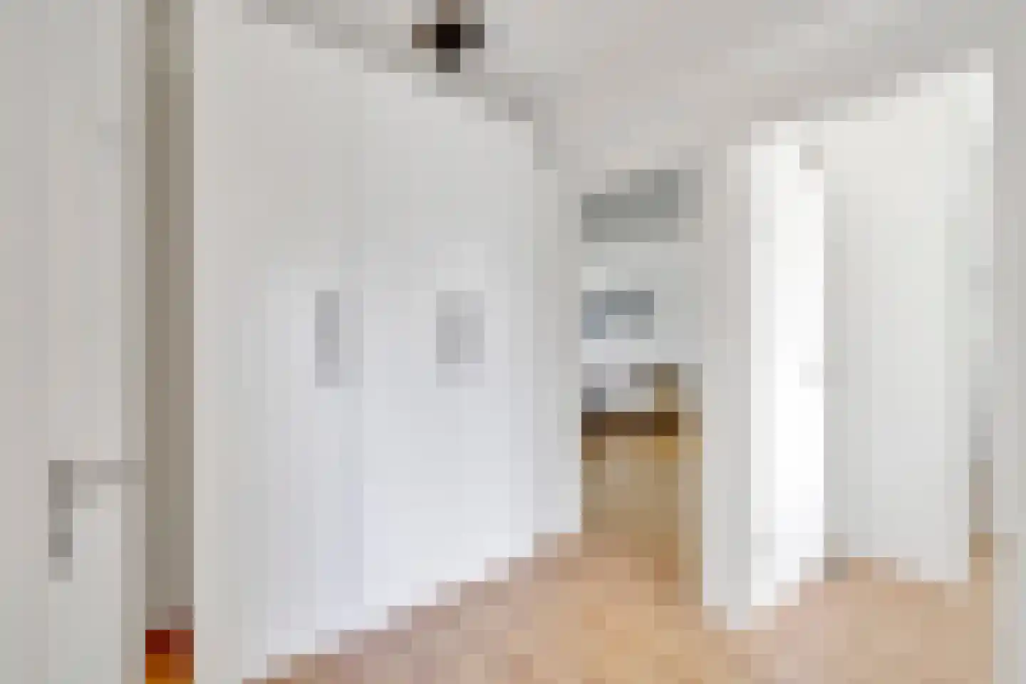 Louis Raemaekersstraat 161 Schiedam thumbnail 12