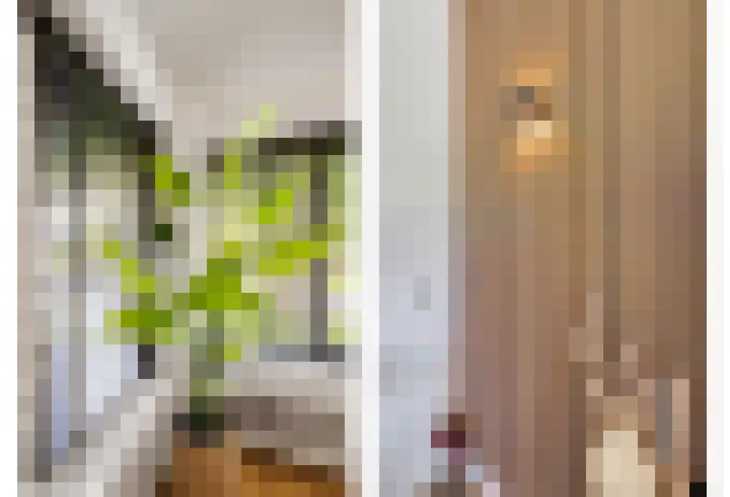 Louis Raemaekersstraat 161 Schiedam thumbnail 15