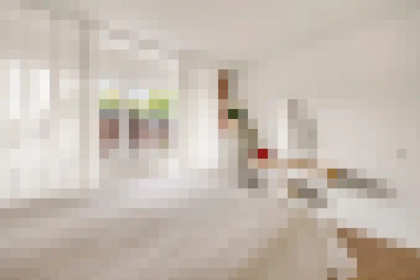 Louis Raemaekersstraat 161 Schiedam thumbnail 26