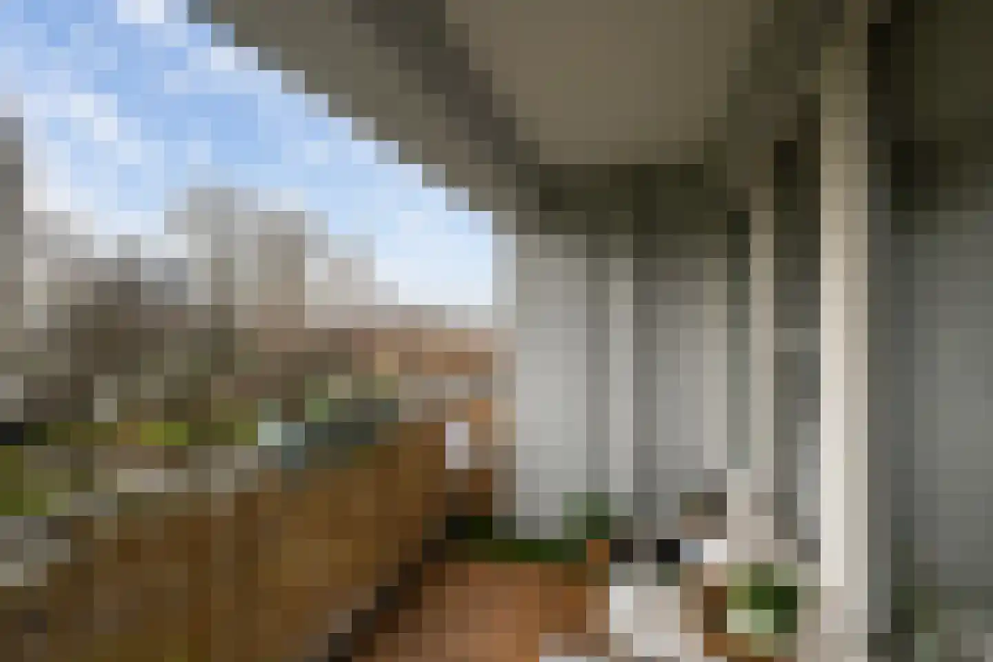 Louis Raemaekersstraat 21 Schiedam thumbnail 10