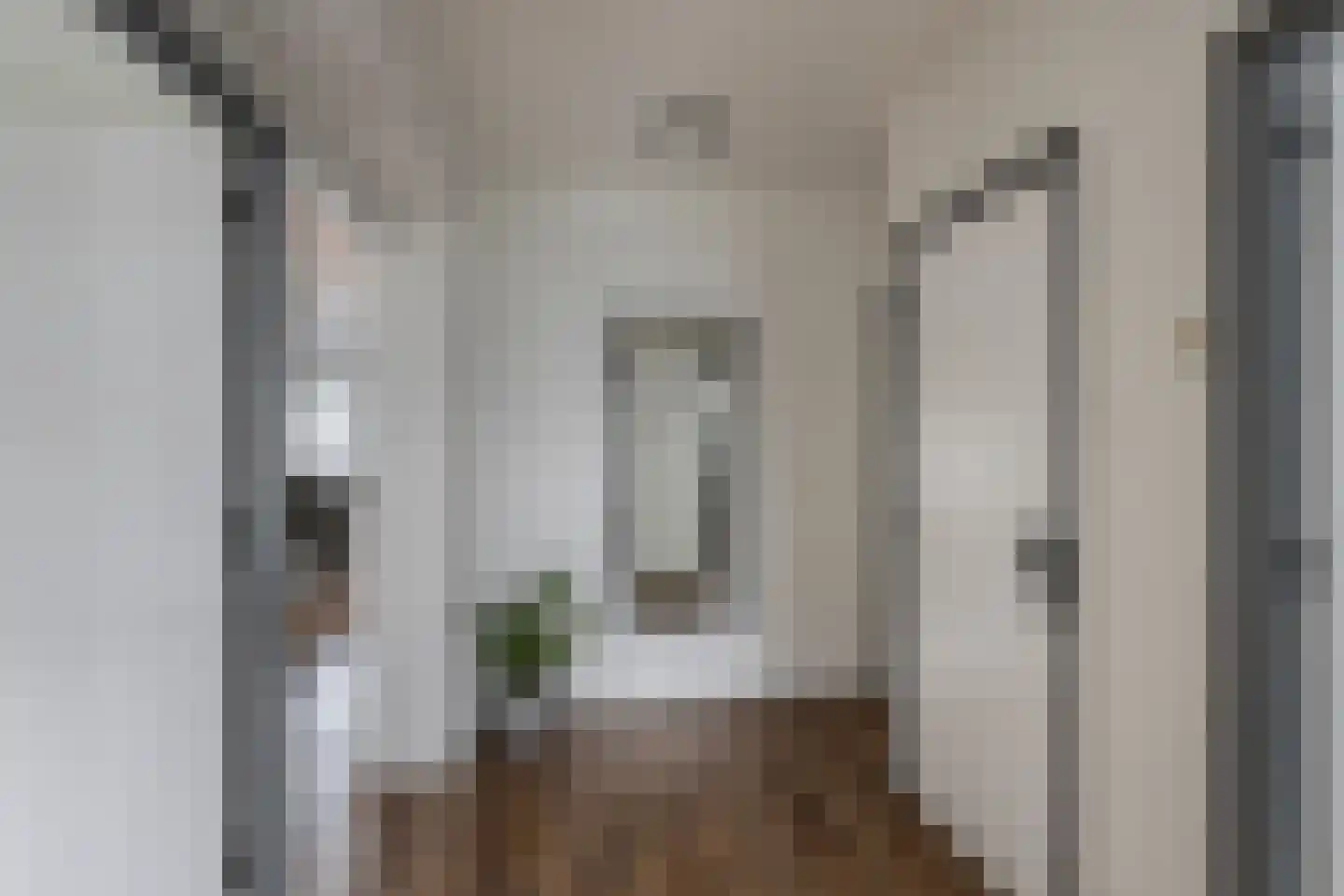 Louis Raemaekersstraat 21 Schiedam thumbnail 12