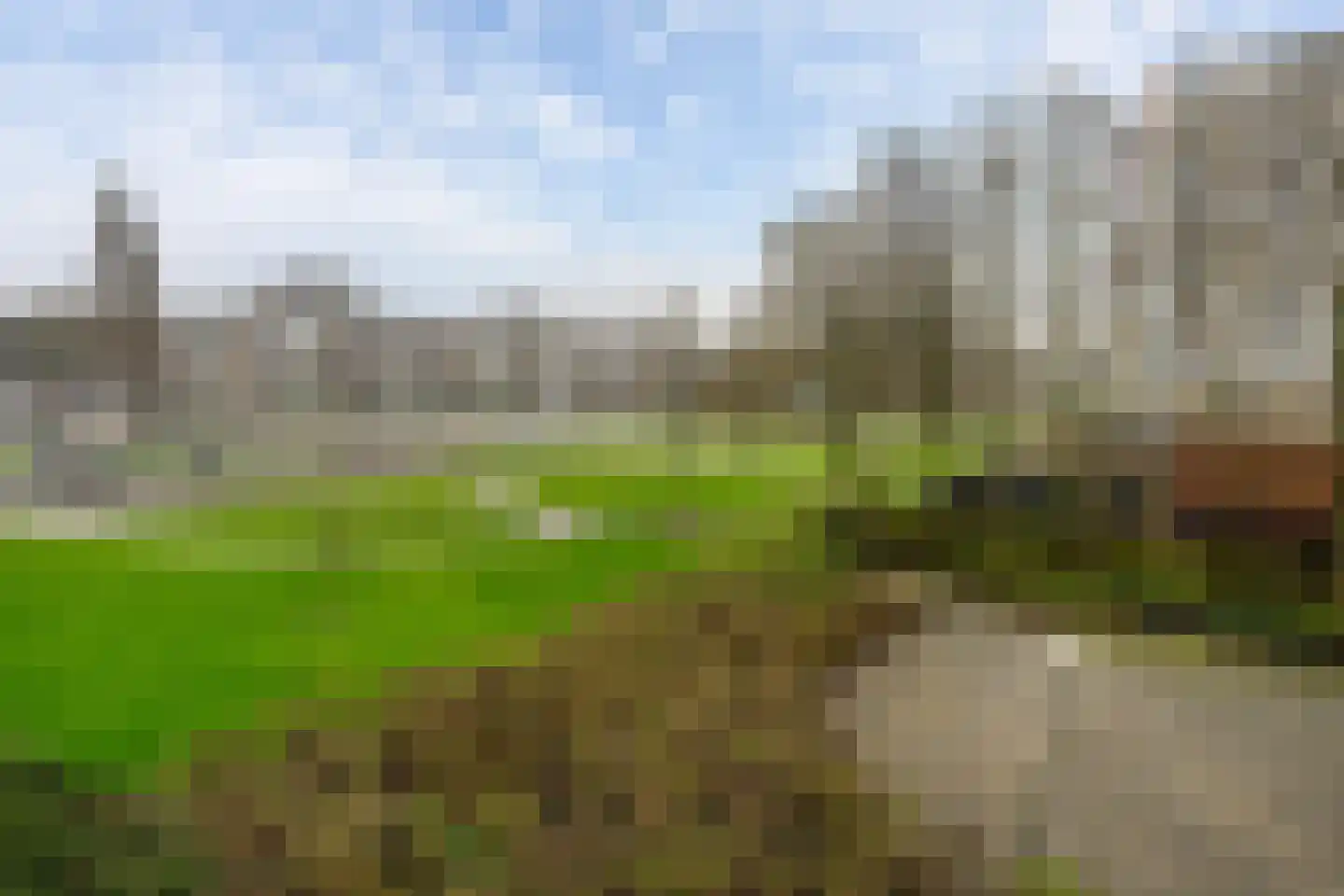 Louis Raemaekersstraat 21 Schiedam thumbnail 27