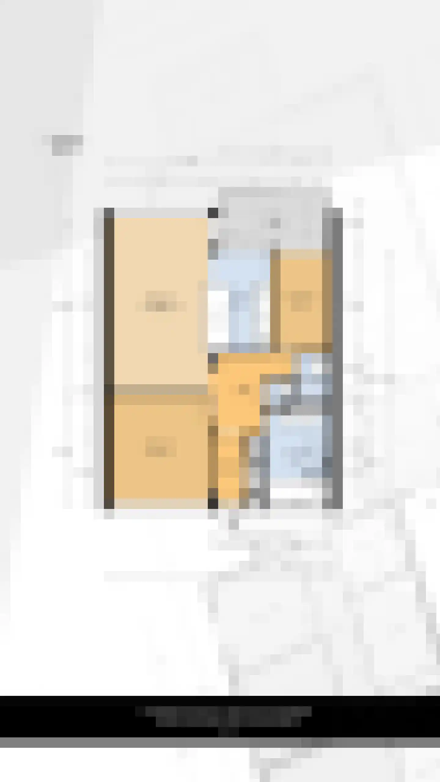 Louis Raemaekersstraat 21 Schiedam thumbnail 31