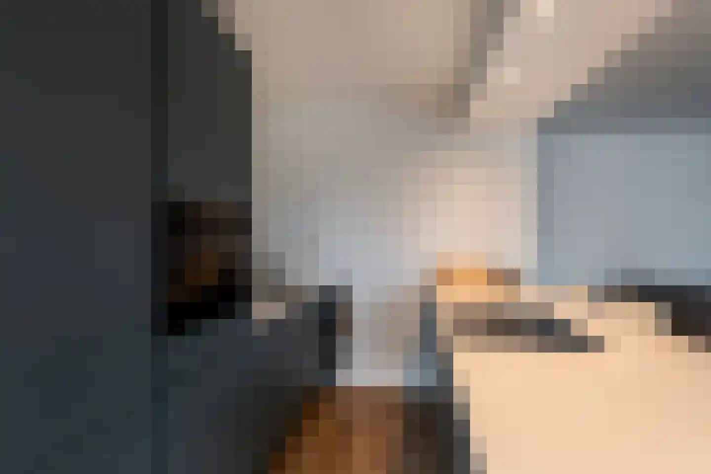 Louis Raemaekersstraat 21 Schiedam thumbnail 4