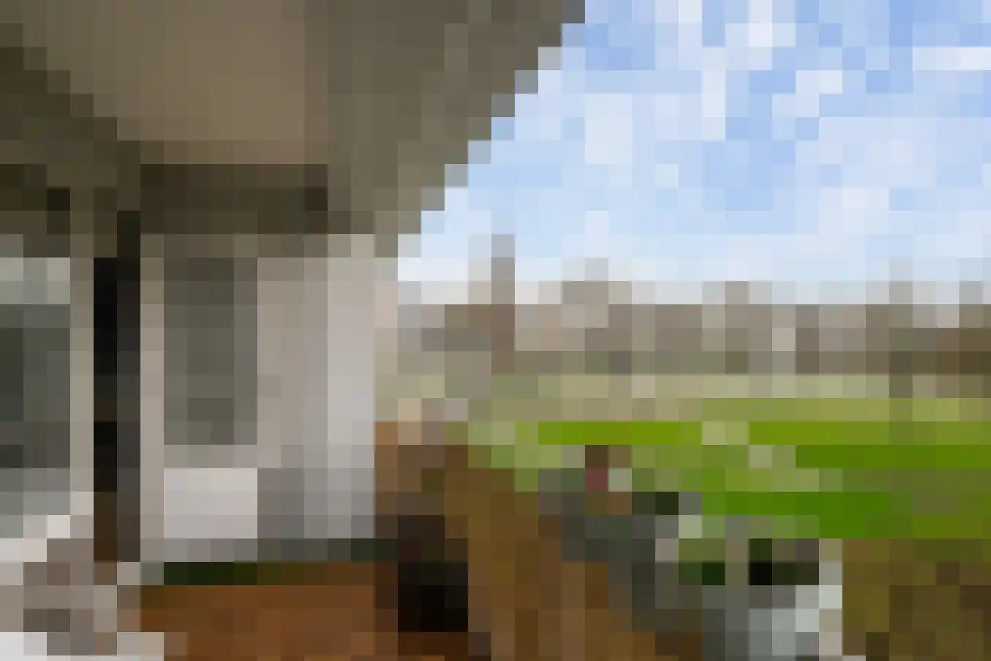 Louis Raemaekersstraat 21 Schiedam thumbnail 9