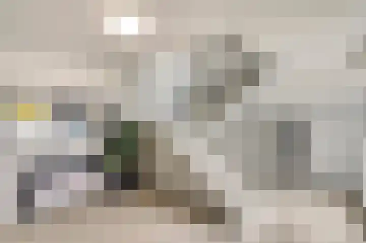 Louis Raemaekersstraat 223 Schiedam thumbnail 20