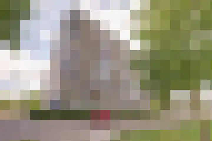 Louis Raemaekersstraat 223 Schiedam thumbnail 26