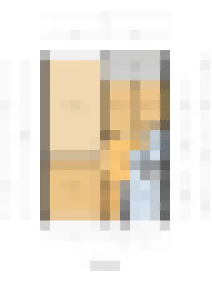Louis Raemaekersstraat 223 Schiedam thumbnail 27