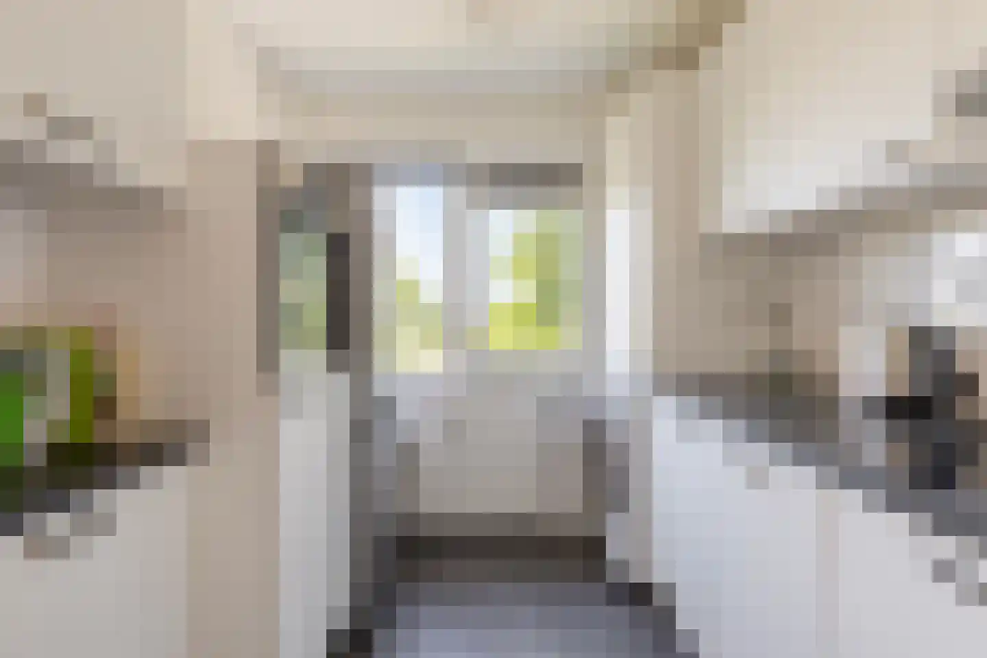 Louis Raemaekersstraat 23 Schiedam thumbnail 10