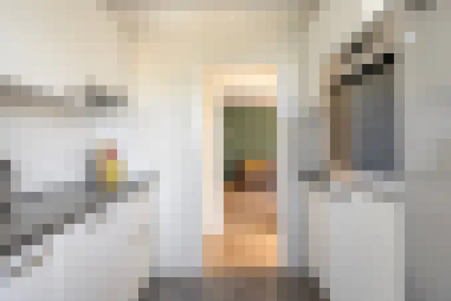 Louis Raemaekersstraat 23 Schiedam thumbnail 11